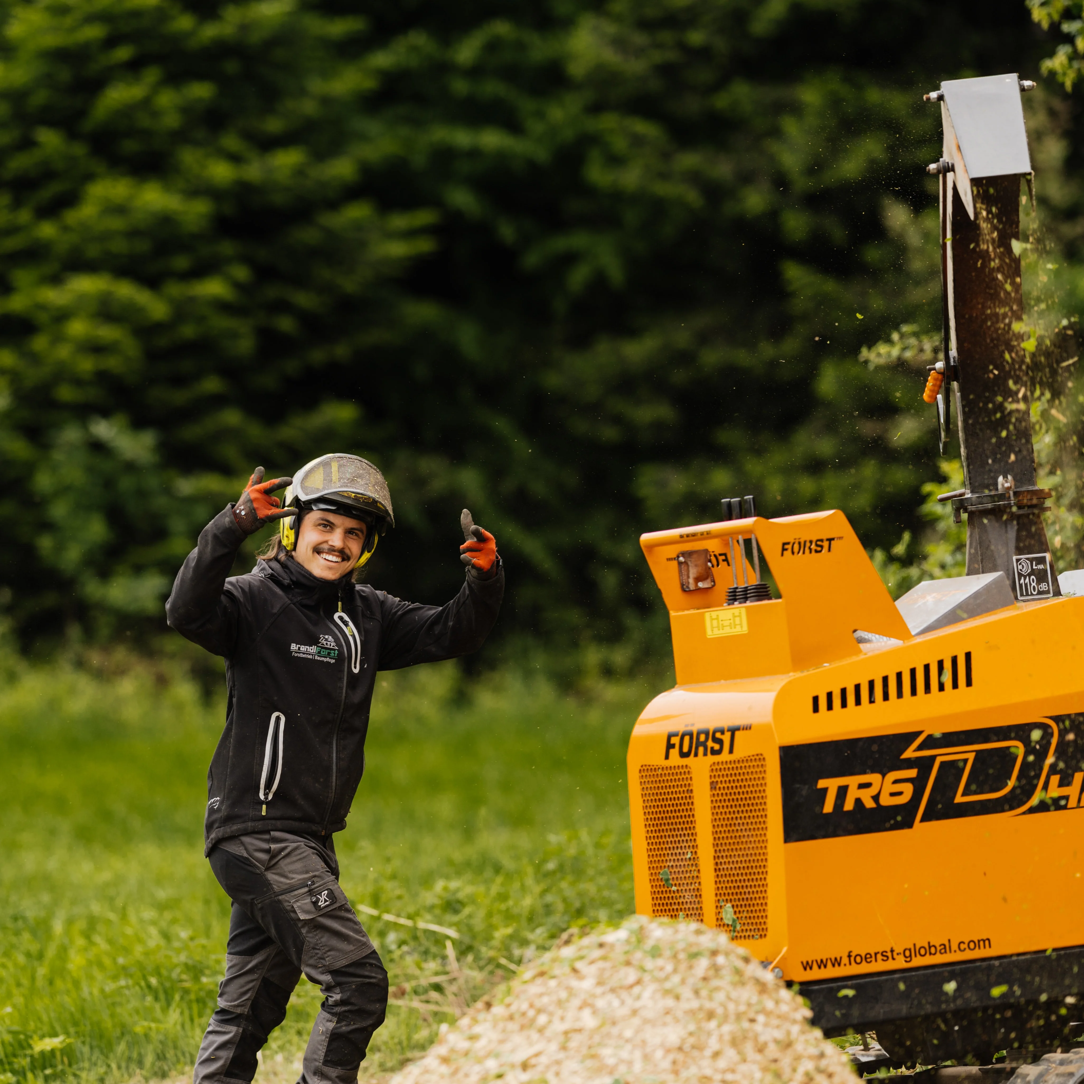 Baumfaellung Kranfaellung Brandlforst