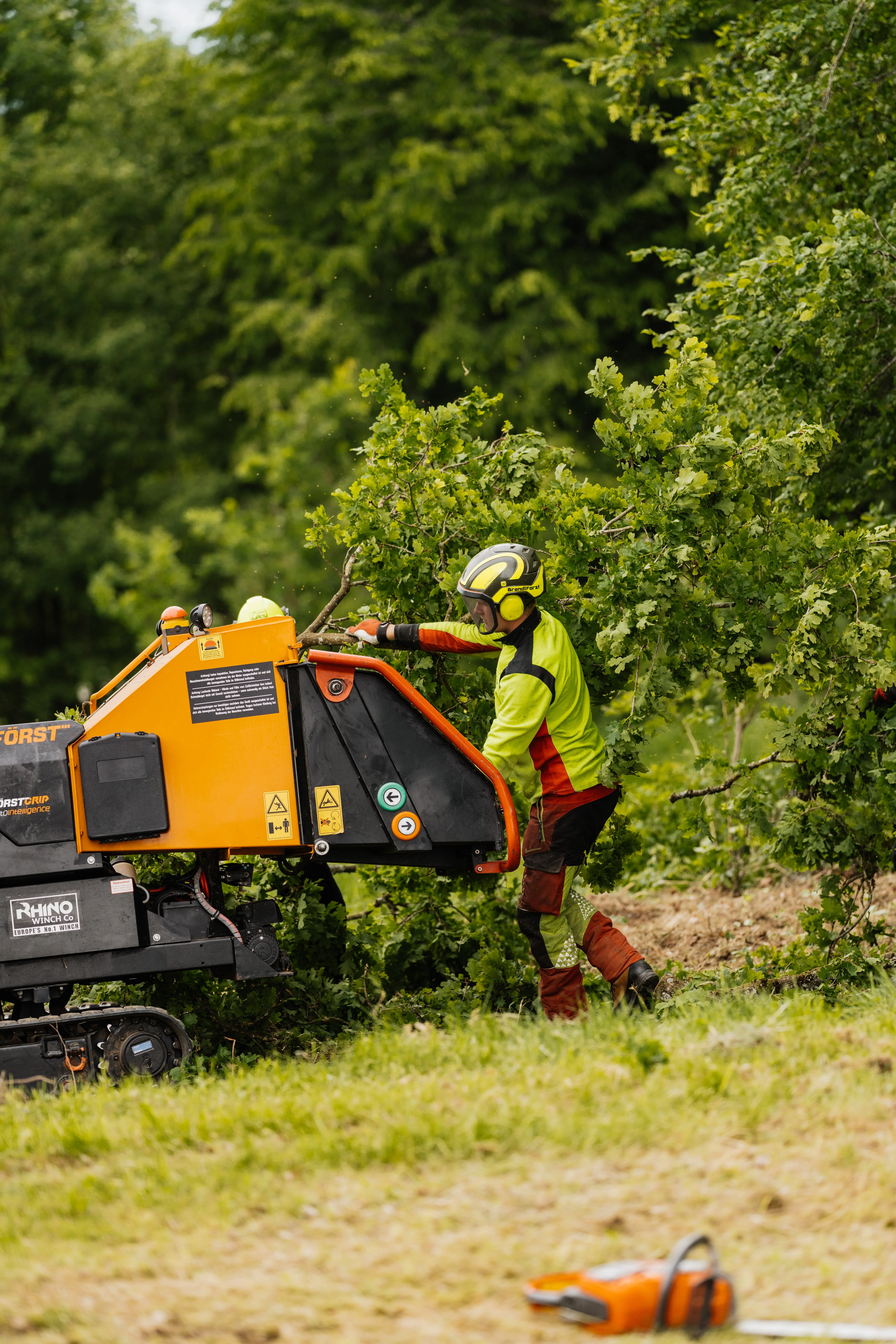 Baumfaellung Kranfaellung Brandlforst