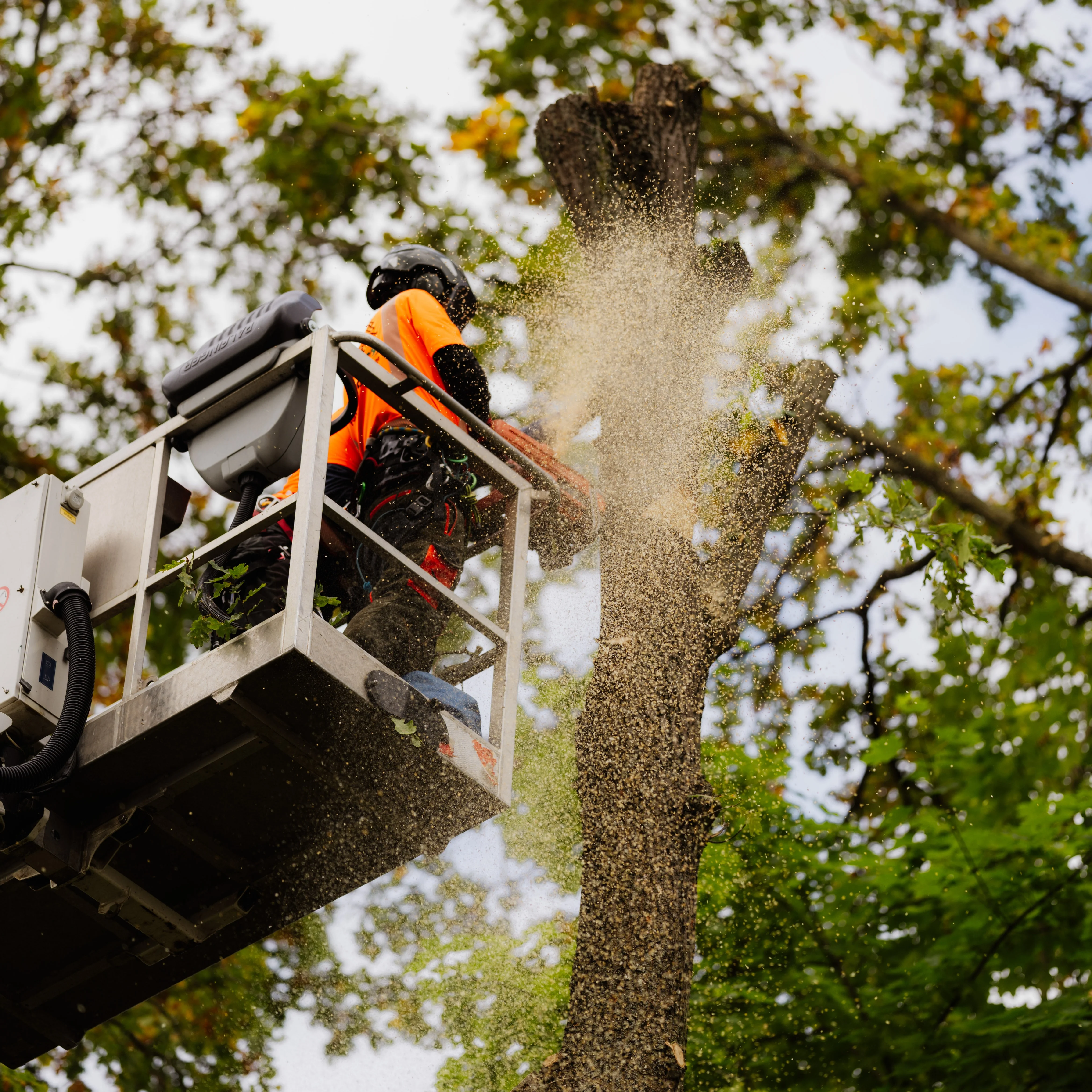 Videoproduktion Werbefotografie Muenchen